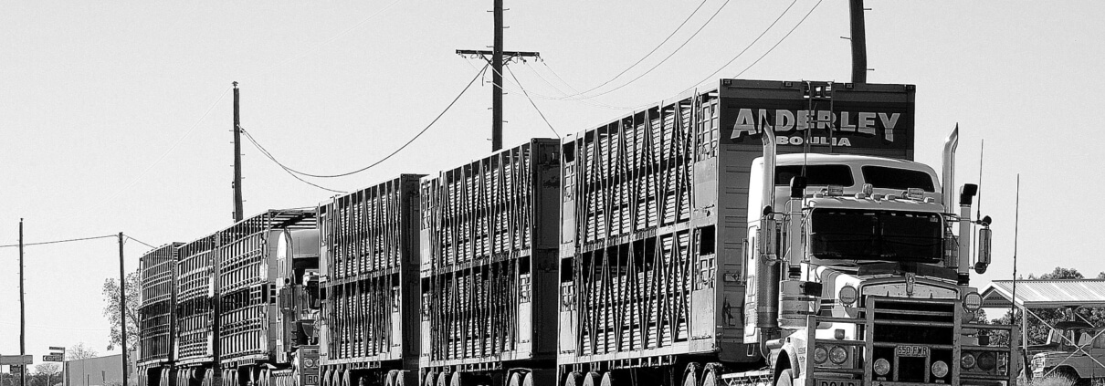 Cargo Truck Insurance Smyrna GA